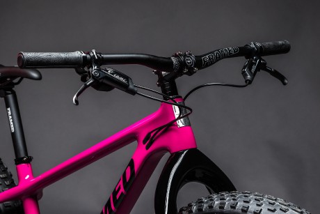 shop-framed-alaskan-carbon-nx-eagle-1x12-fat-bike-carbon-fork-alloy-whweels-pink-black-20-3